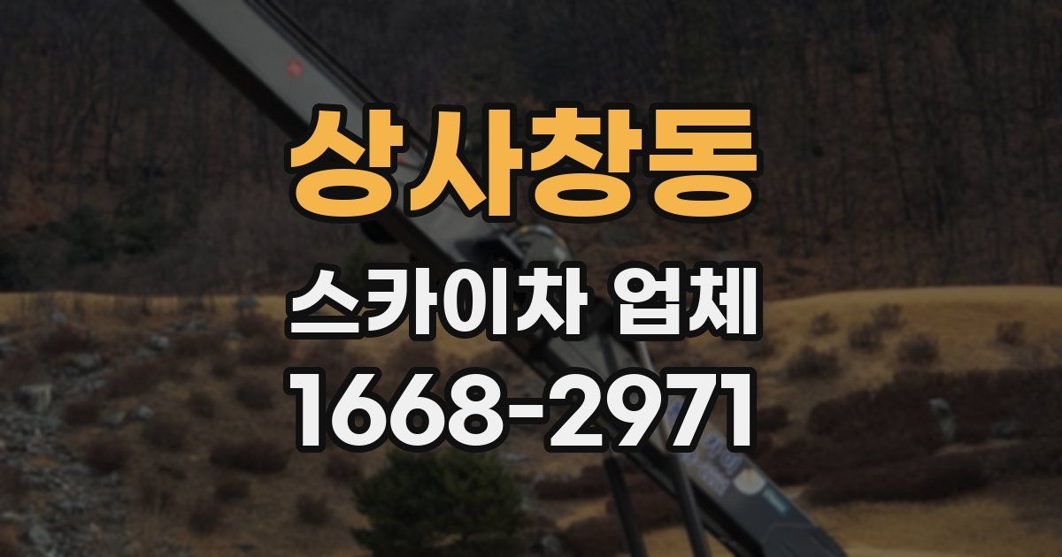 상사창동 스카이차 업체