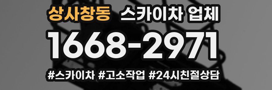 상사창동 스카이차 업체