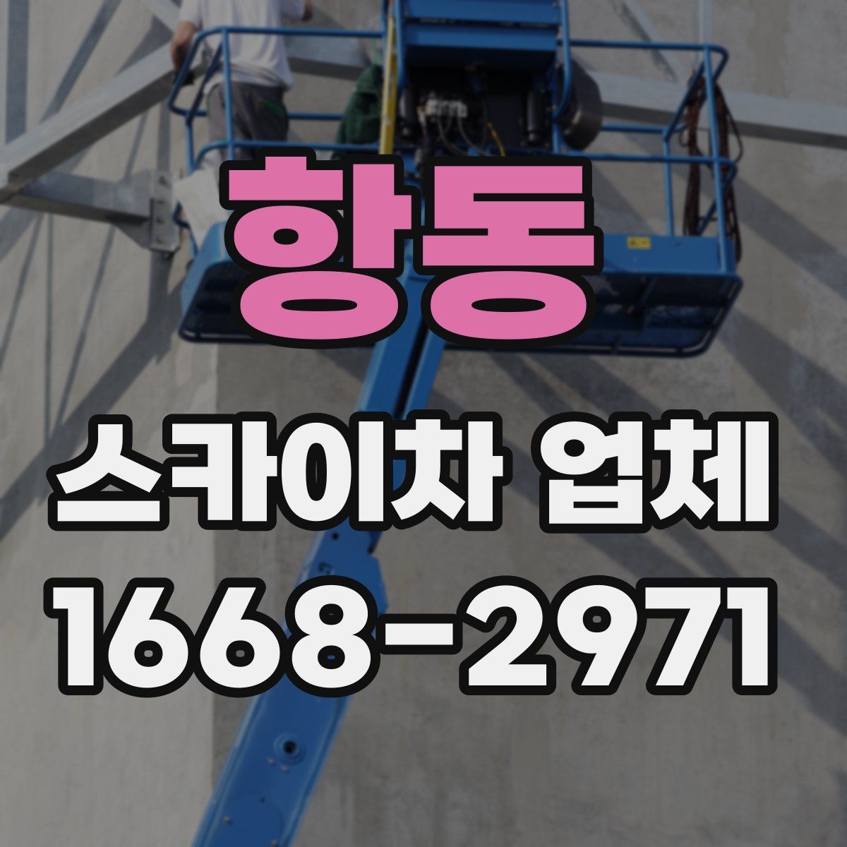 항동 스카이차 업체