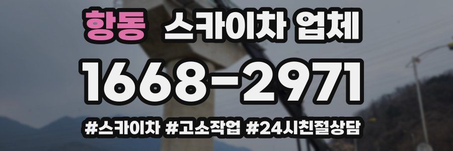 항동 스카이차 업체