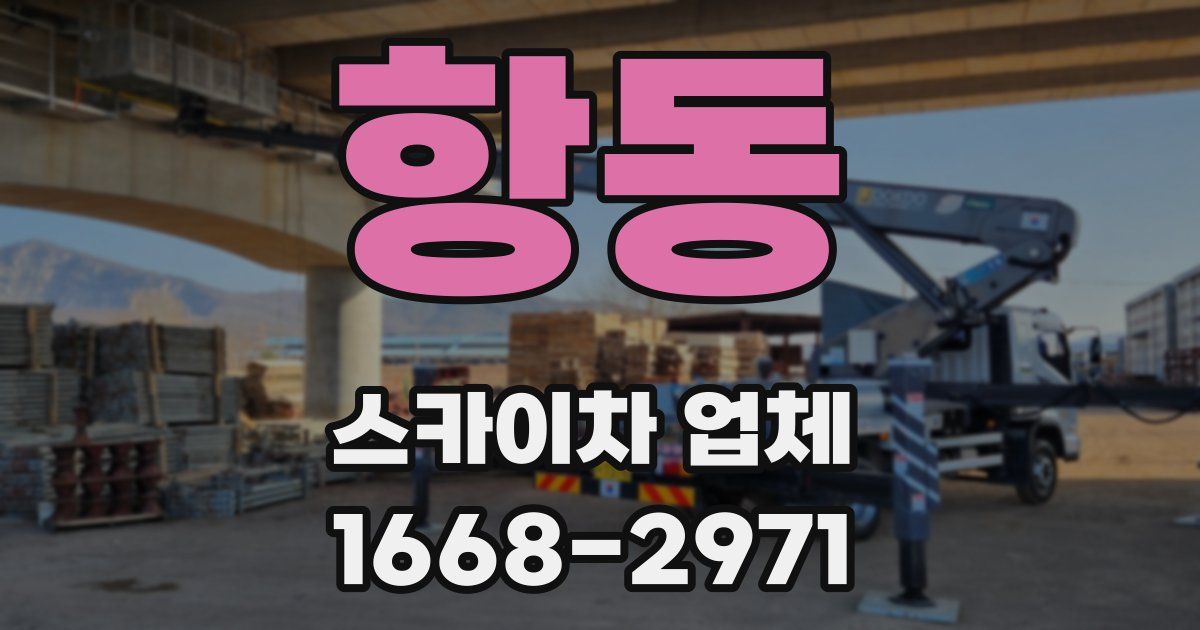 항동 스카이차 업체