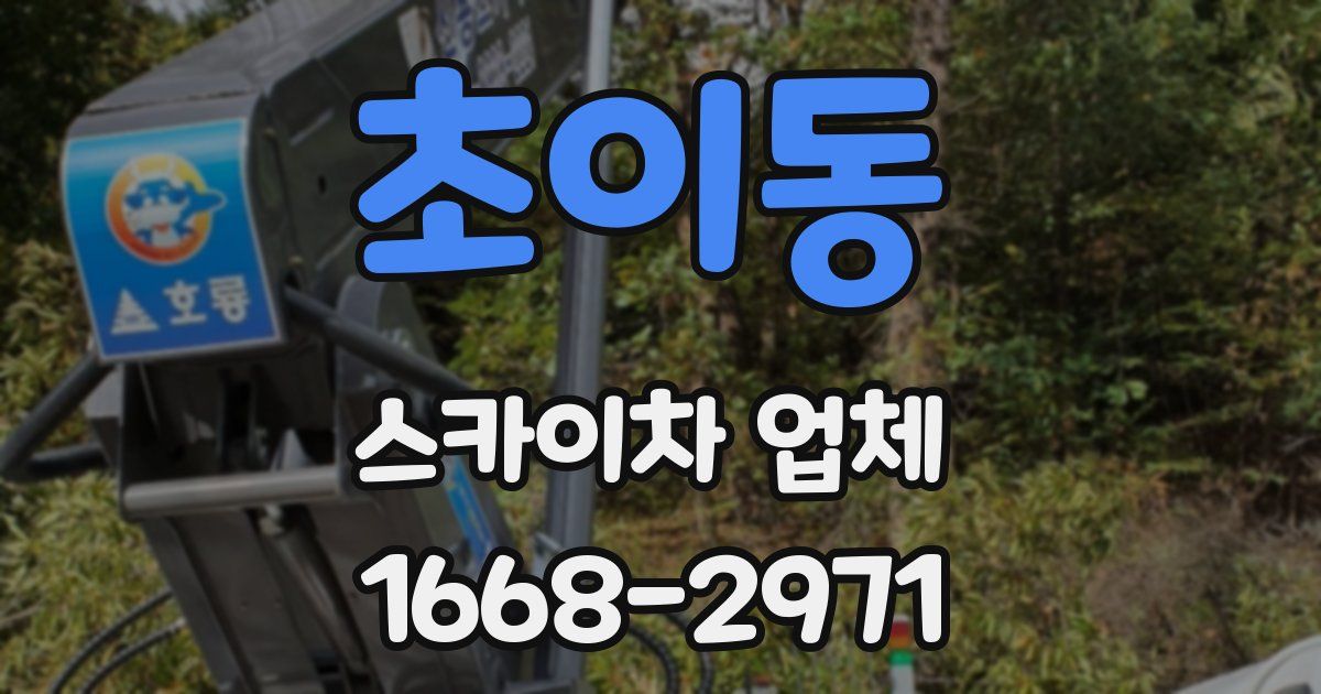 초이동 스카이차 업체