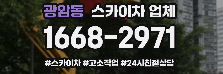 광암동 스카이차 업체