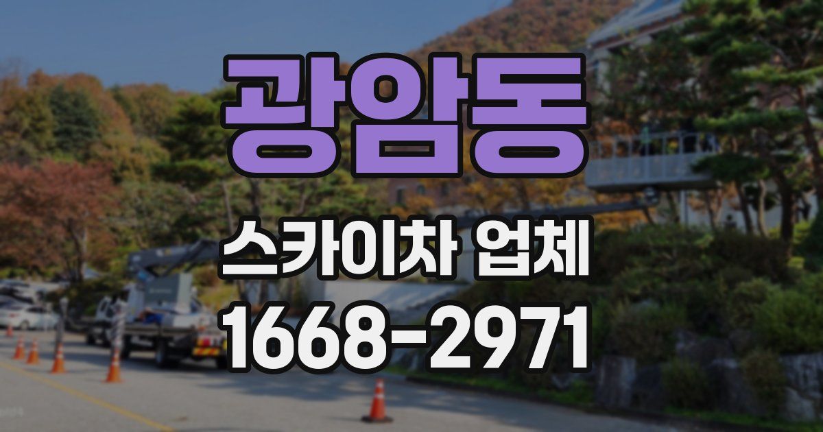 광암동 스카이차 업체