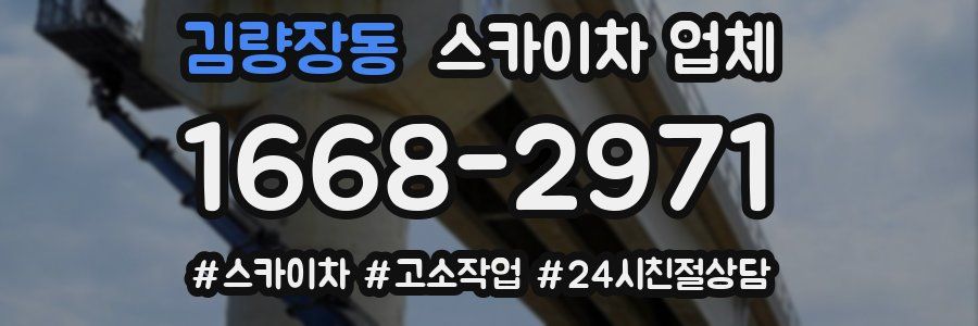 김량장동 스카이차 업체