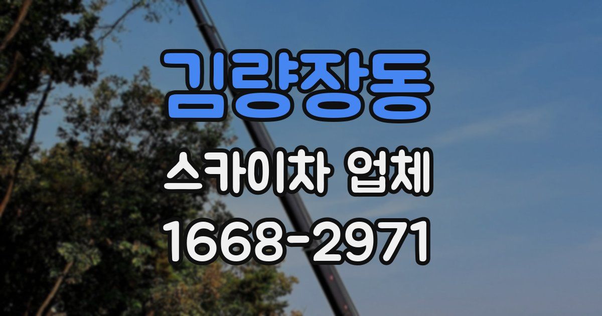김량장동 스카이차 업체