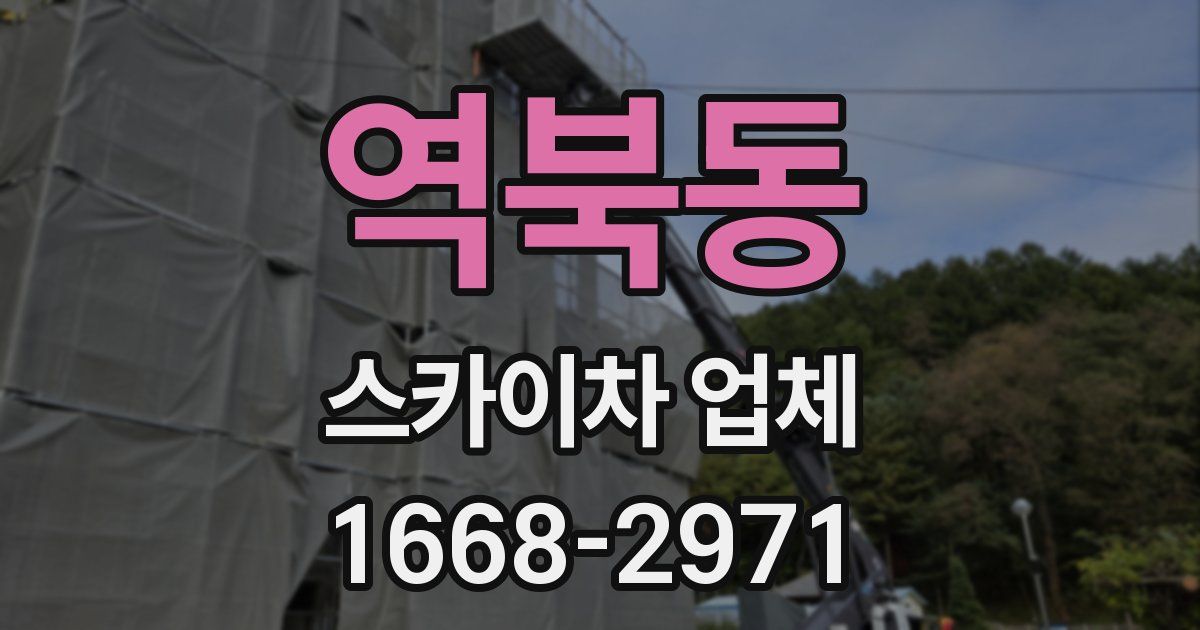 역북동 스카이차 업체