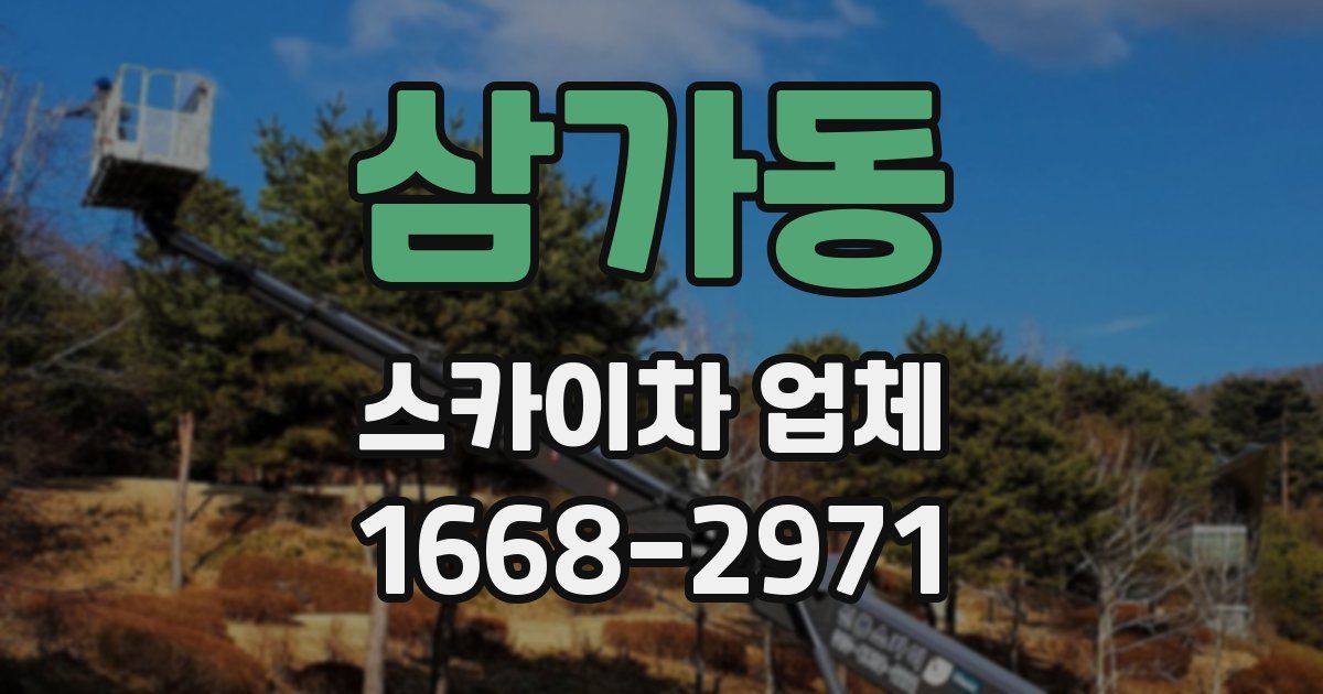 삼가동 스카이차 업체