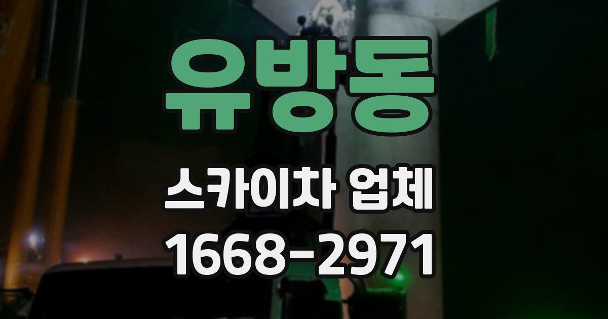 유방동 스카이차 업체