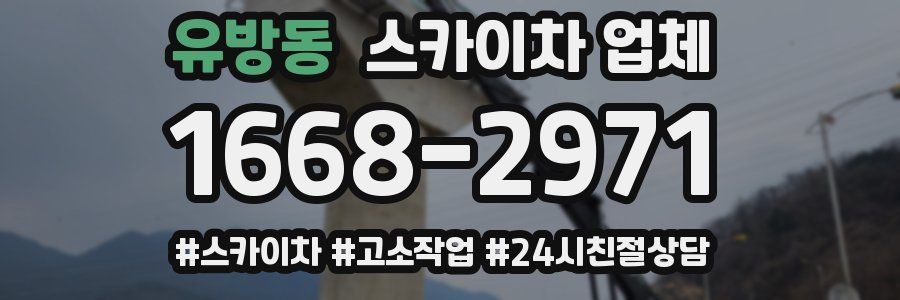 유방동 스카이차 업체