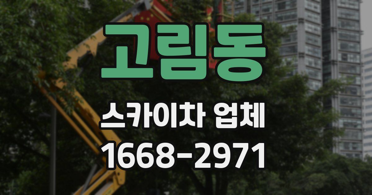 고림동 스카이차 업체