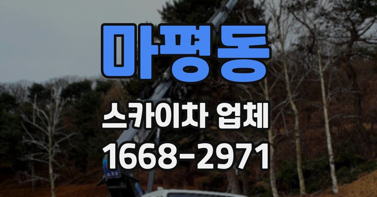 마평동 스카이차 업체