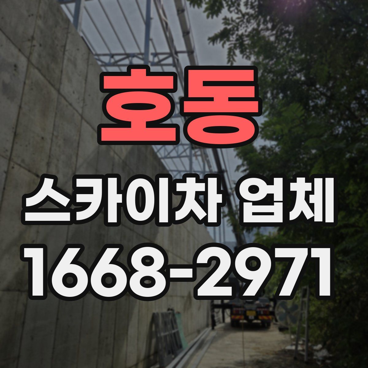호동 스카이차 업체