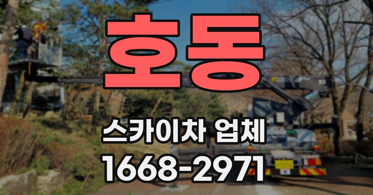 호동 스카이차 업체