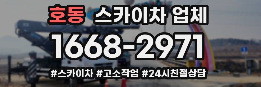 호동 스카이차 업체