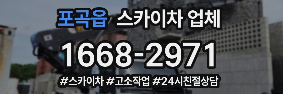 포곡읍 스카이차 업체