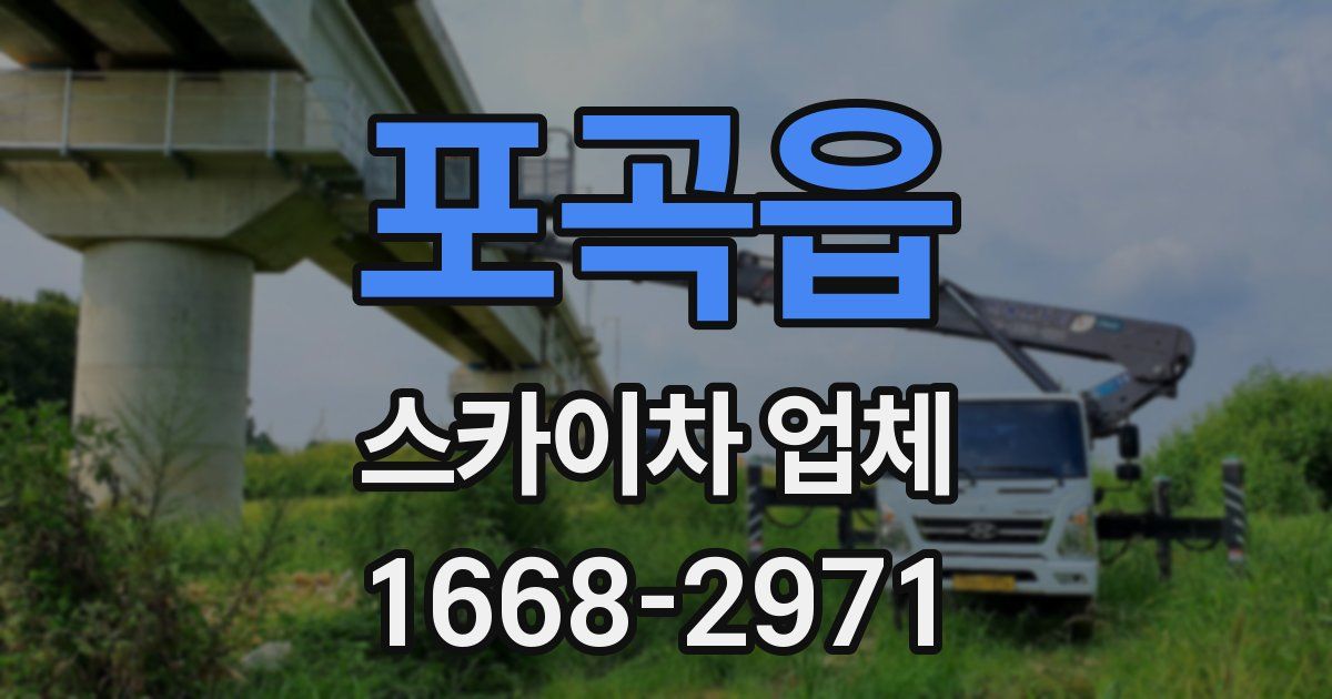 포곡읍 스카이차 업체