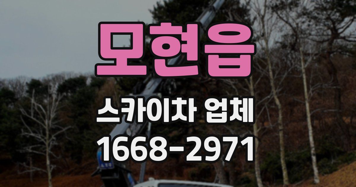 모현읍 스카이차 업체