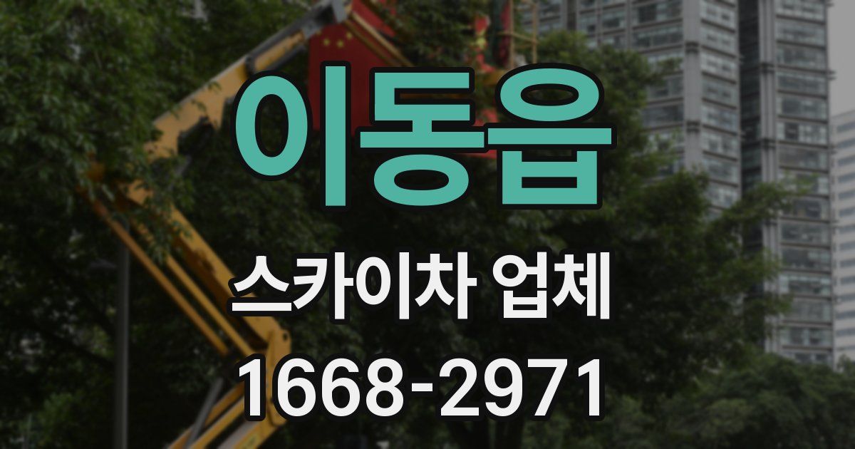 이동읍 스카이차 업체