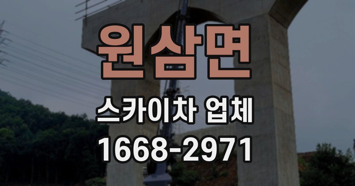원삼면 스카이차 업체