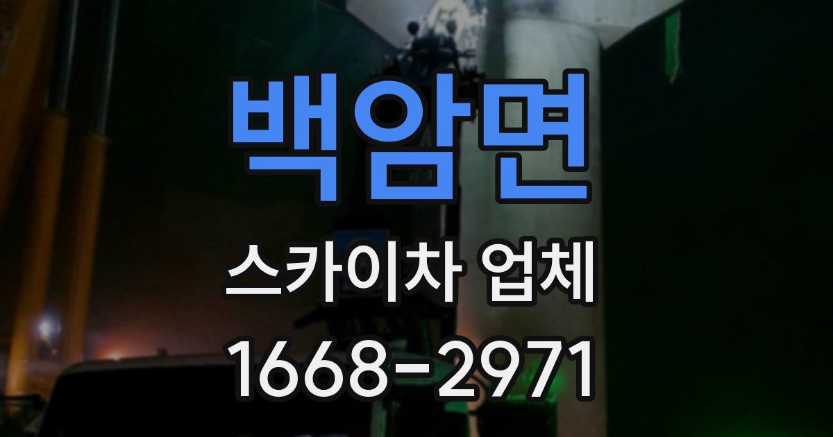 백암면 스카이차 업체