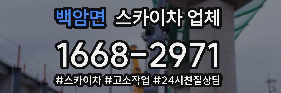 백암면 스카이차 업체