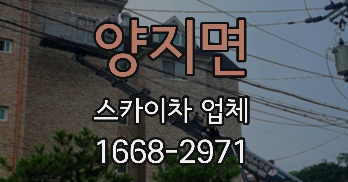 양지면 스카이차 업체