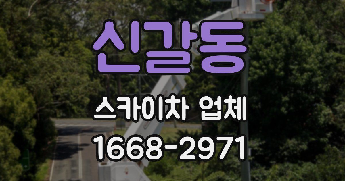 신갈동 스카이차 업체