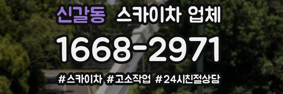 신갈동 스카이차 업체