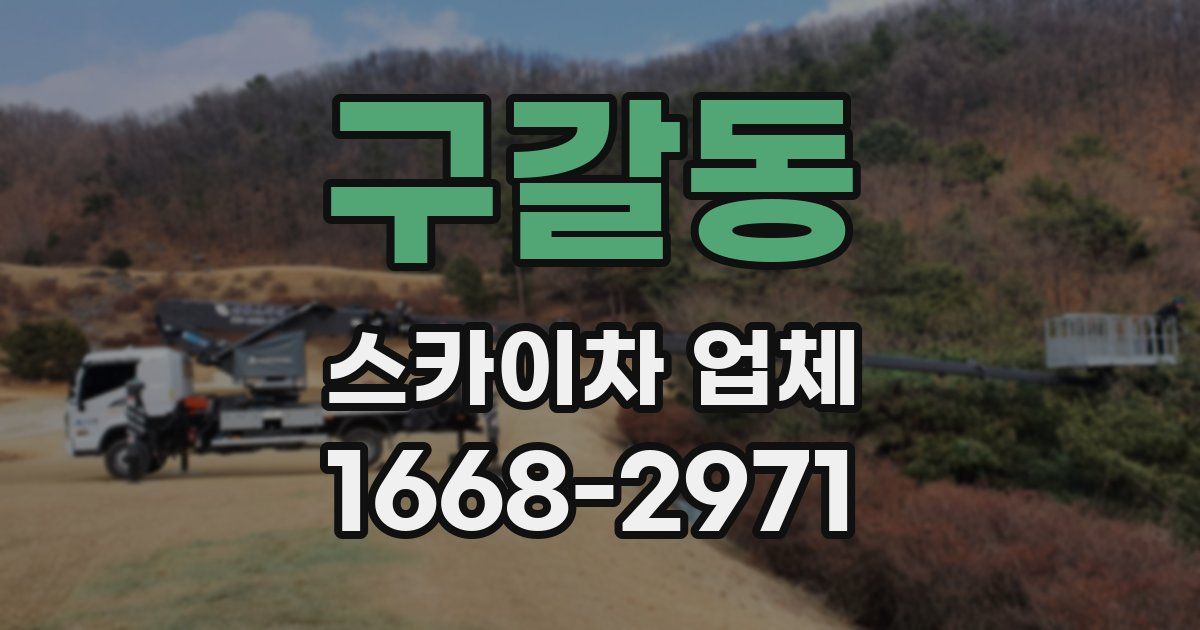 구갈동 스카이차 업체