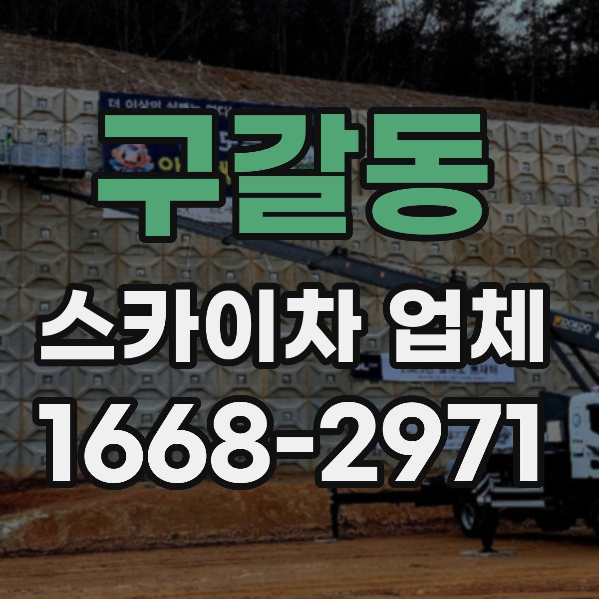 구갈동 스카이차 업체