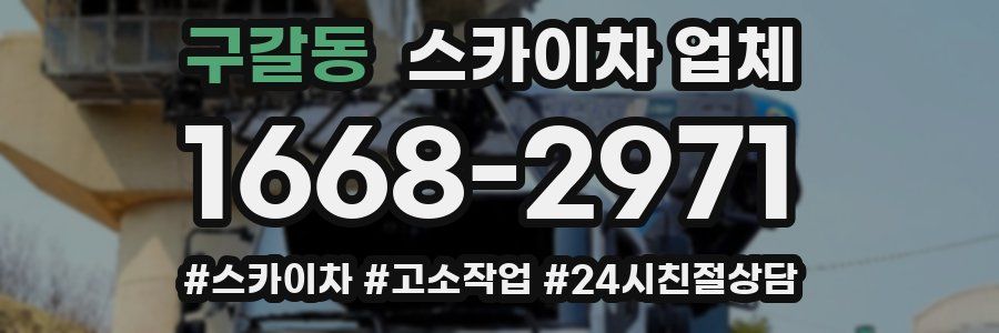 구갈동 스카이차 업체