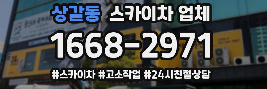 상갈동 스카이차 업체