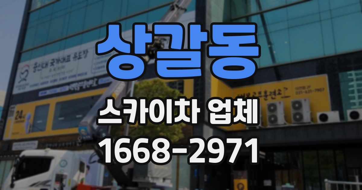 상갈동 스카이차 업체