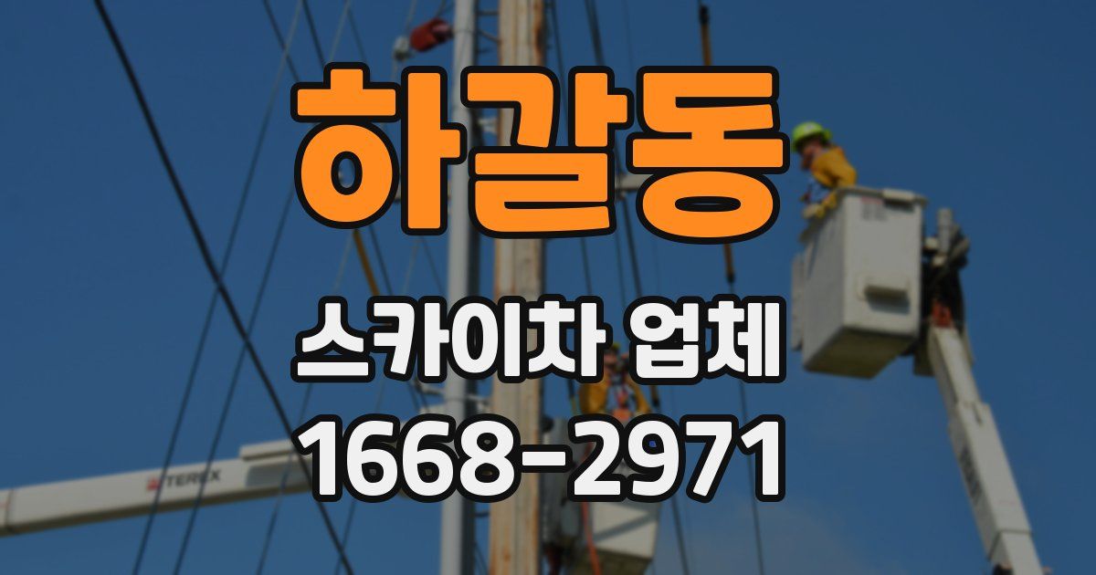 하갈동 스카이차 업체