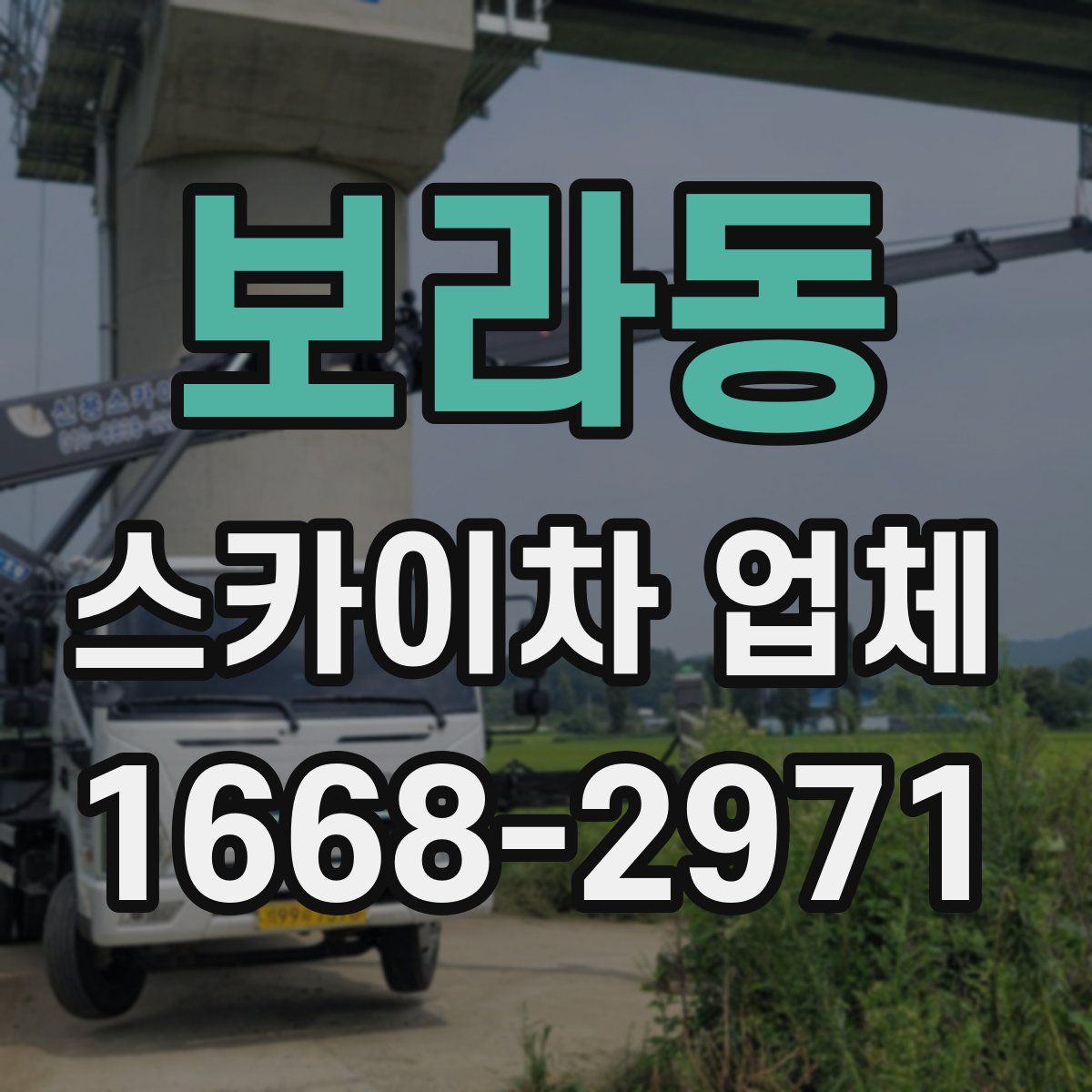 보라동 스카이차 업체