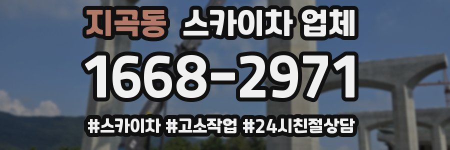 지곡동 스카이차 업체