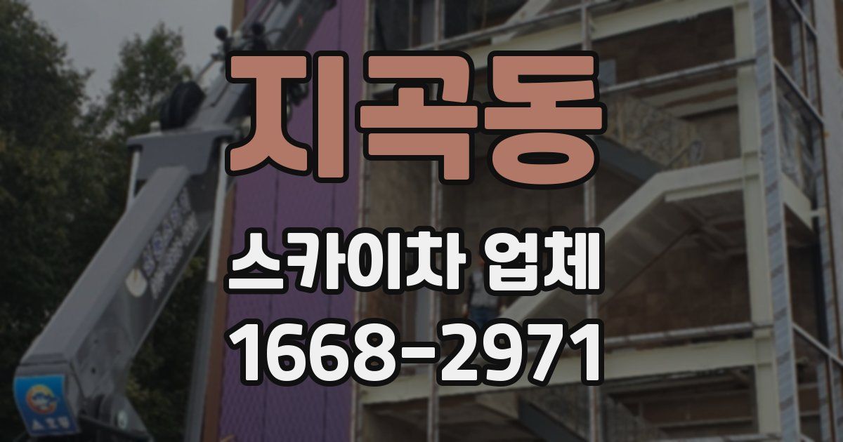 지곡동 스카이차 업체