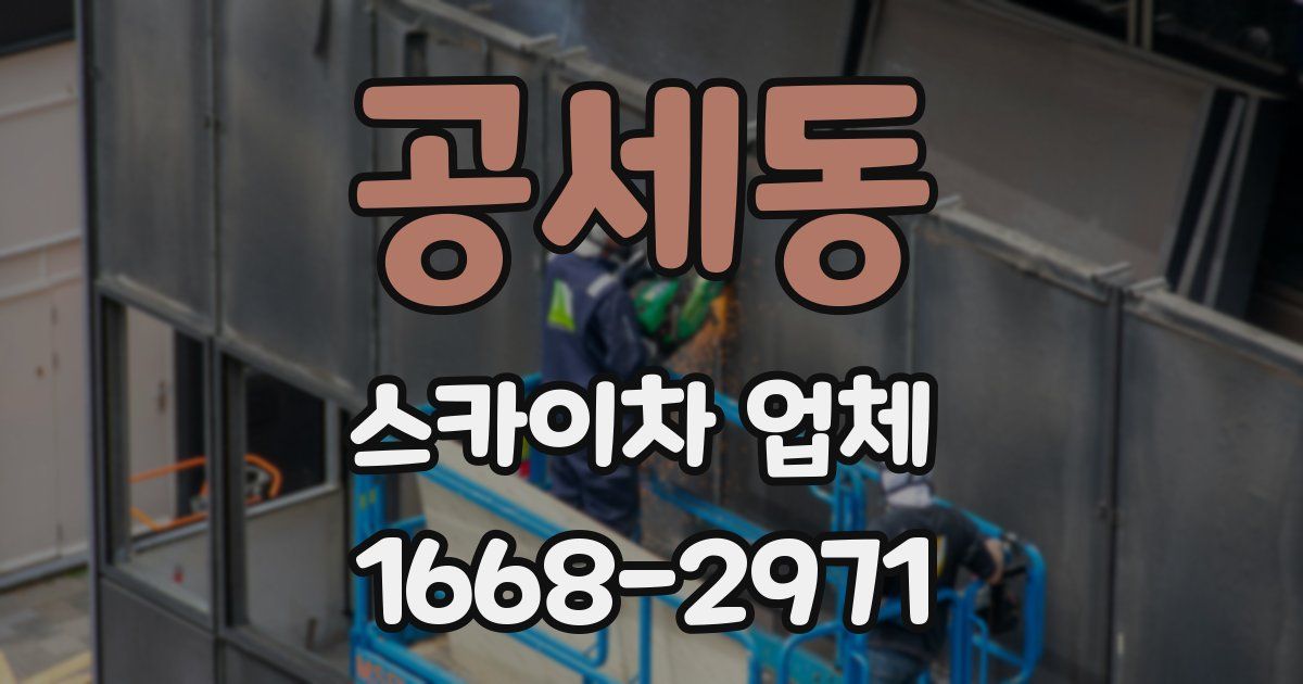 공세동 스카이차 업체