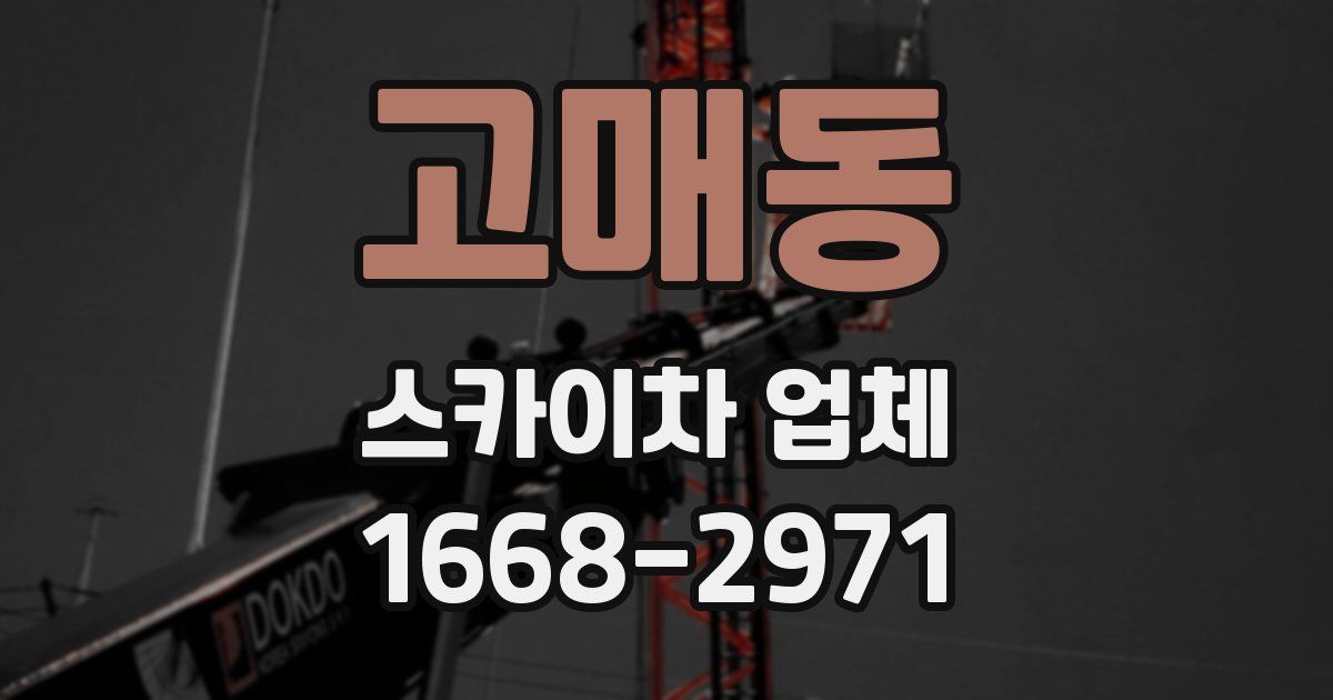 고매동 스카이차 업체