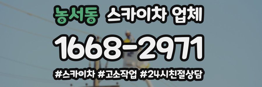 농서동 스카이차 업체