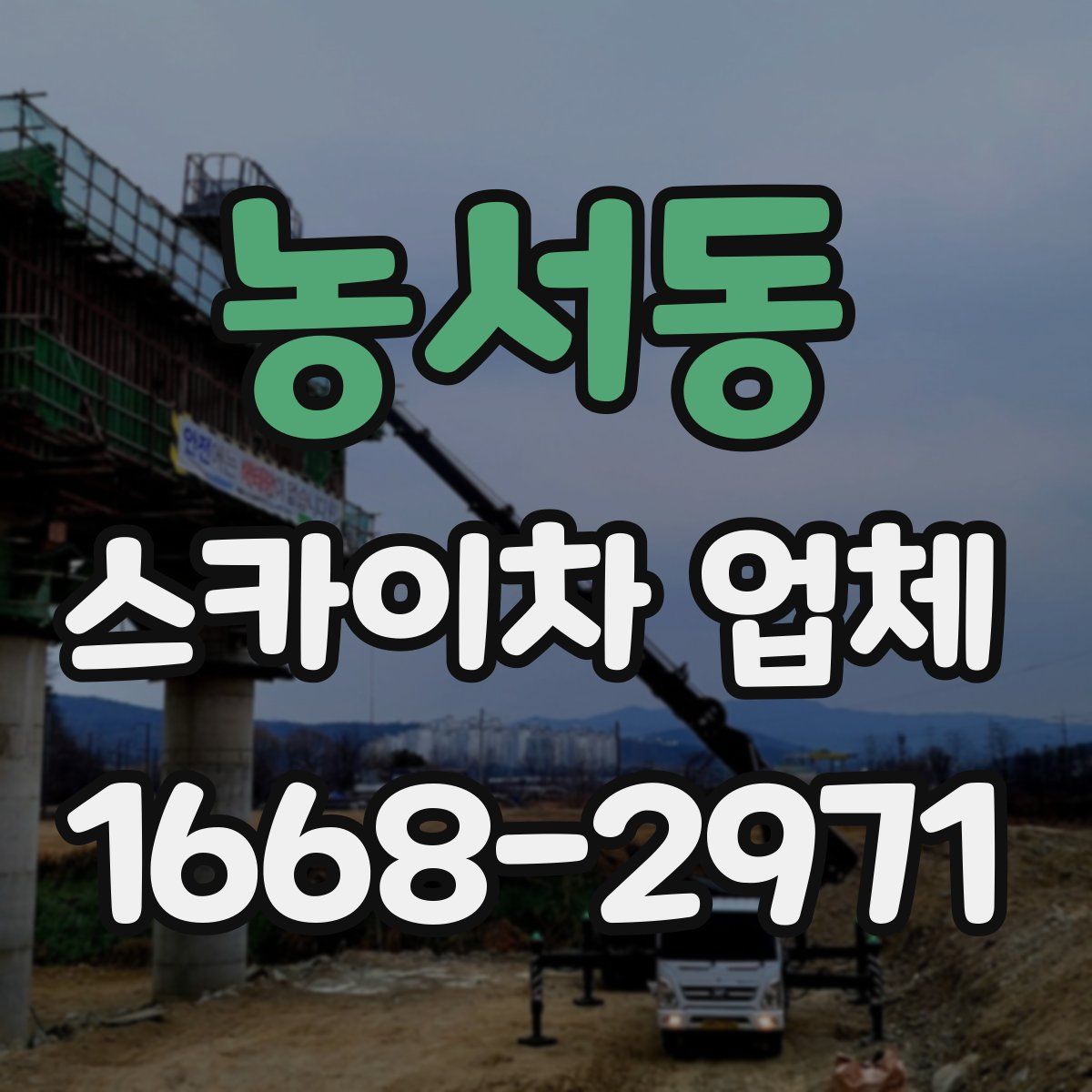 농서동 스카이차 업체