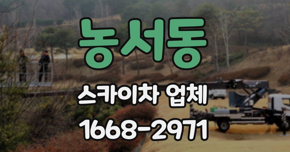 농서동 스카이차 업체