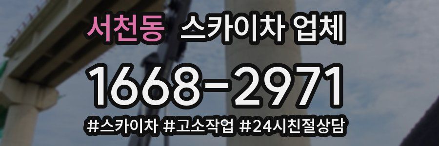 서천동 스카이차 업체