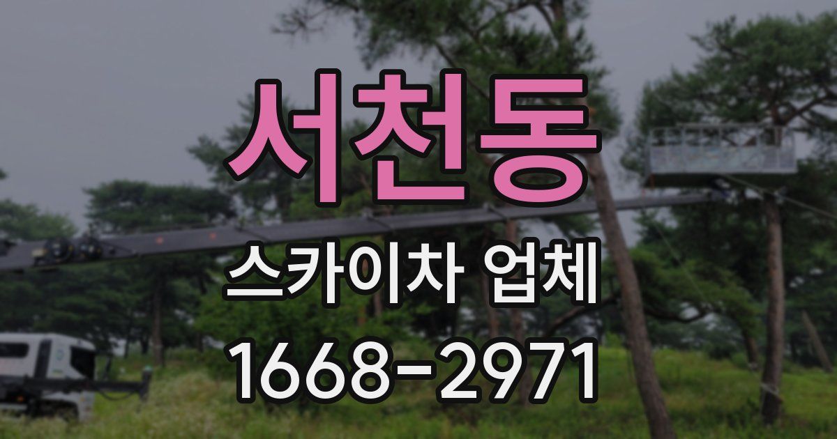 서천동 스카이차 업체