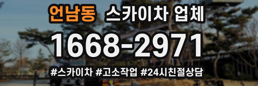 언남동 스카이차 업체