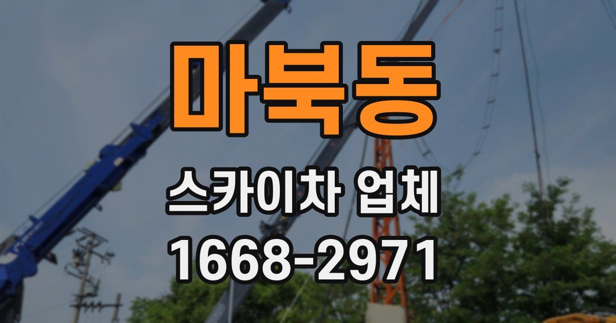 마북동 스카이차 업체