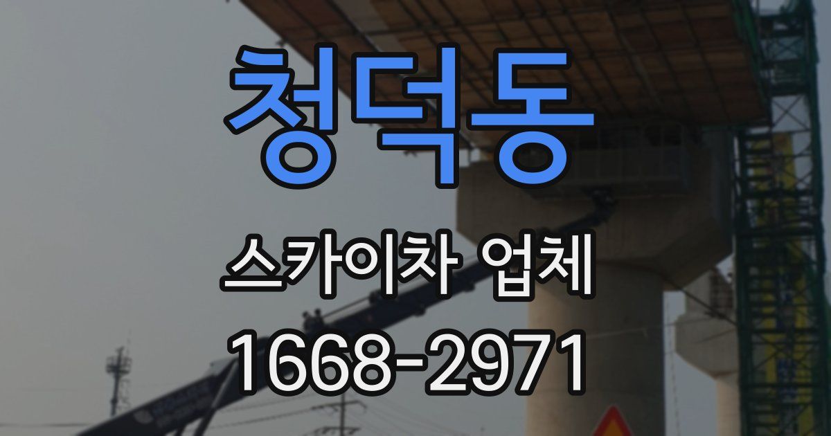 청덕동 스카이차 업체