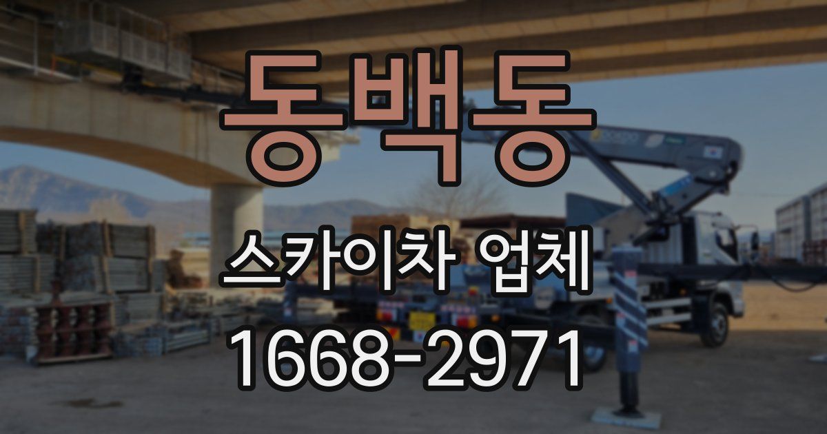동백동 스카이차 업체
