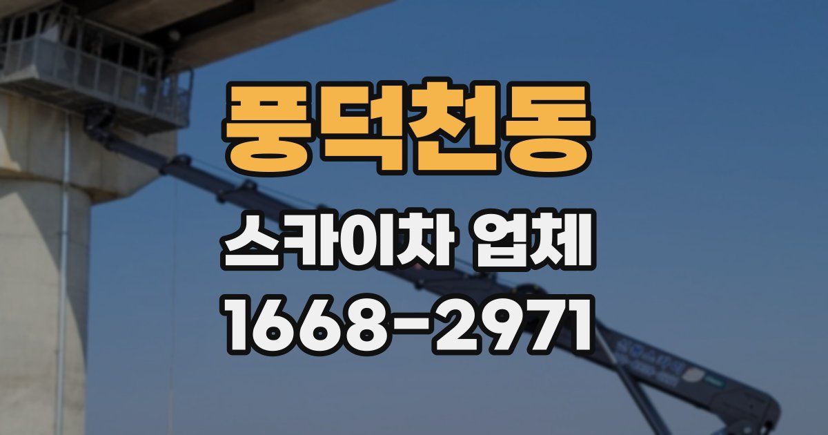 풍덕천동 스카이차 업체